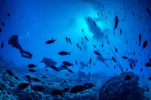 Bautismo de buceo en Alicante