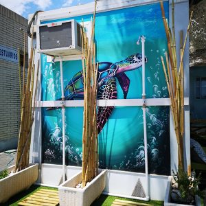 ali-sub-centro-buceo-el-centro-galeria