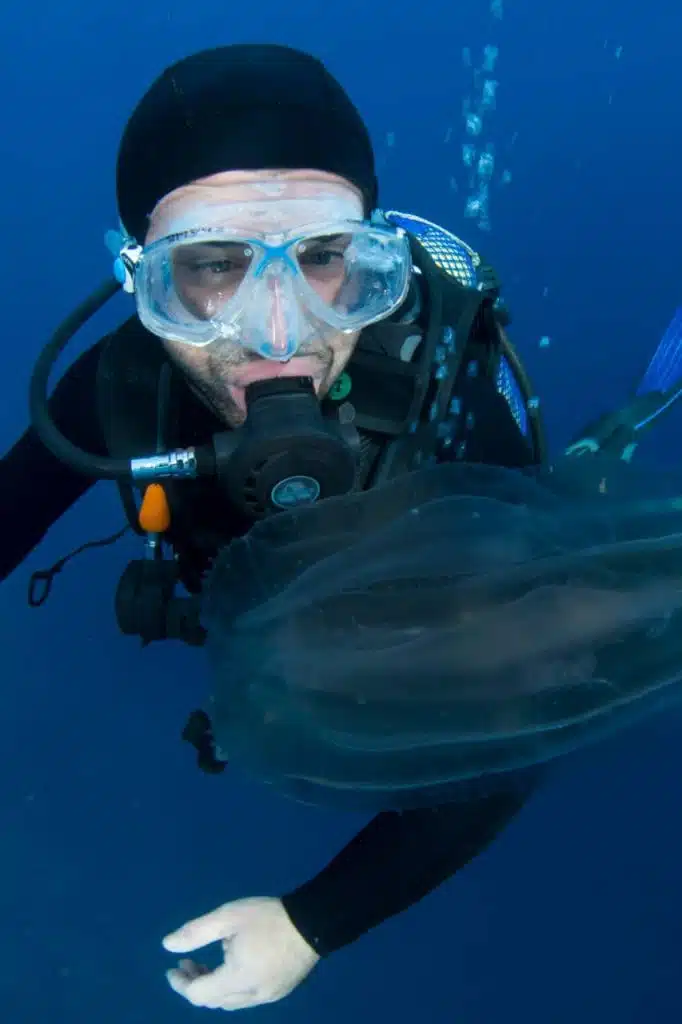 ali sub centro buceo destacado 03